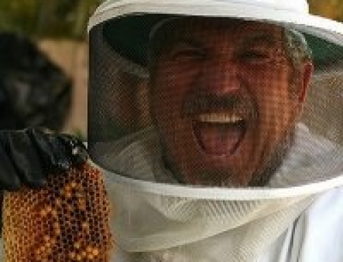 Willie the Bee Man Success Story